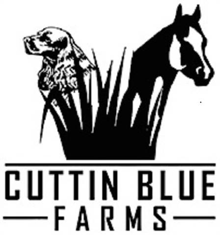 Cuttin Blue Farms | Purebred Dogs & Horses - Cuttin Blue Farms